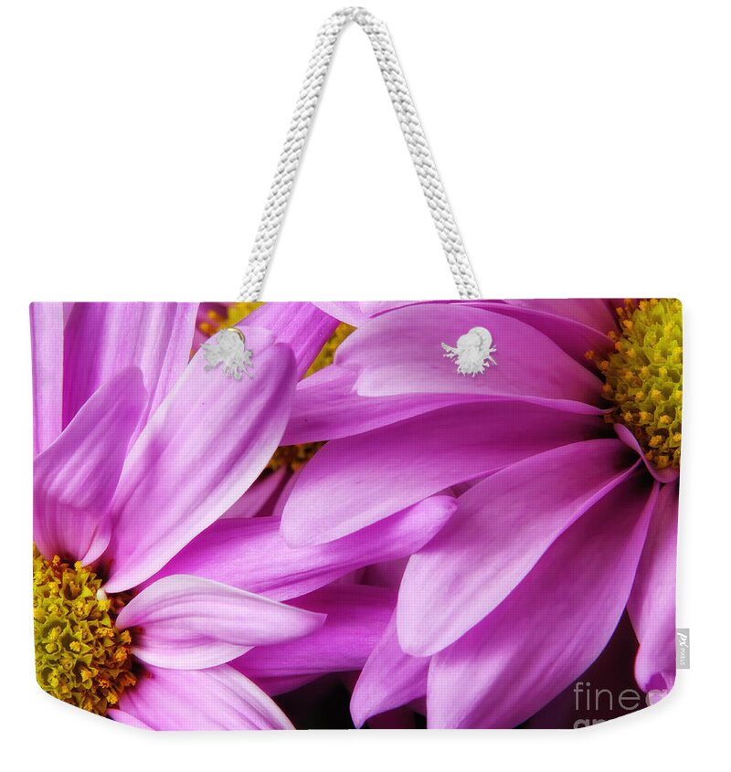 Petals Weekender Tote Bag featuring the photograph Petals by Rick Kuperberg Sr