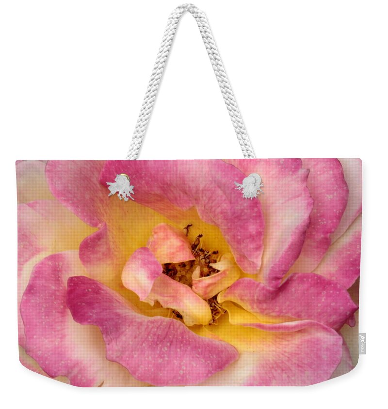 Rose Weekender Tote Bag featuring the photograph Petalsoft Perfection by Deborah Crew-Johnson