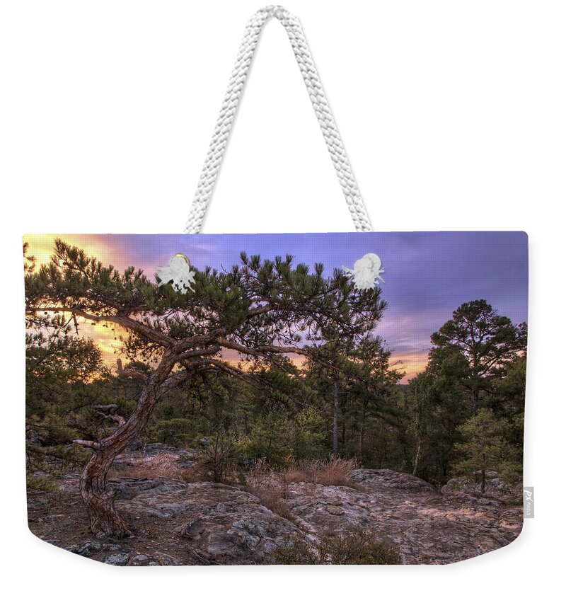 Petit Jean Weekender Tote Bag featuring the photograph Petit Jean Mountain Bonsai Tree - Arkansas by Jason Politte
