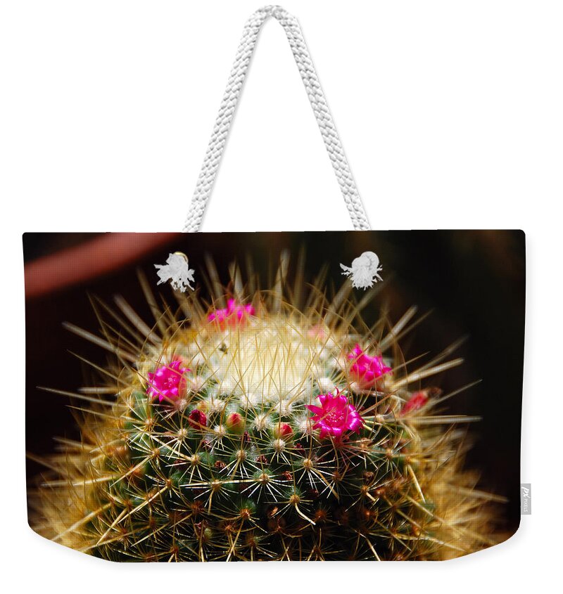 Cactus Weekender Tote Bag featuring the photograph Petite Cactus by John Schneider