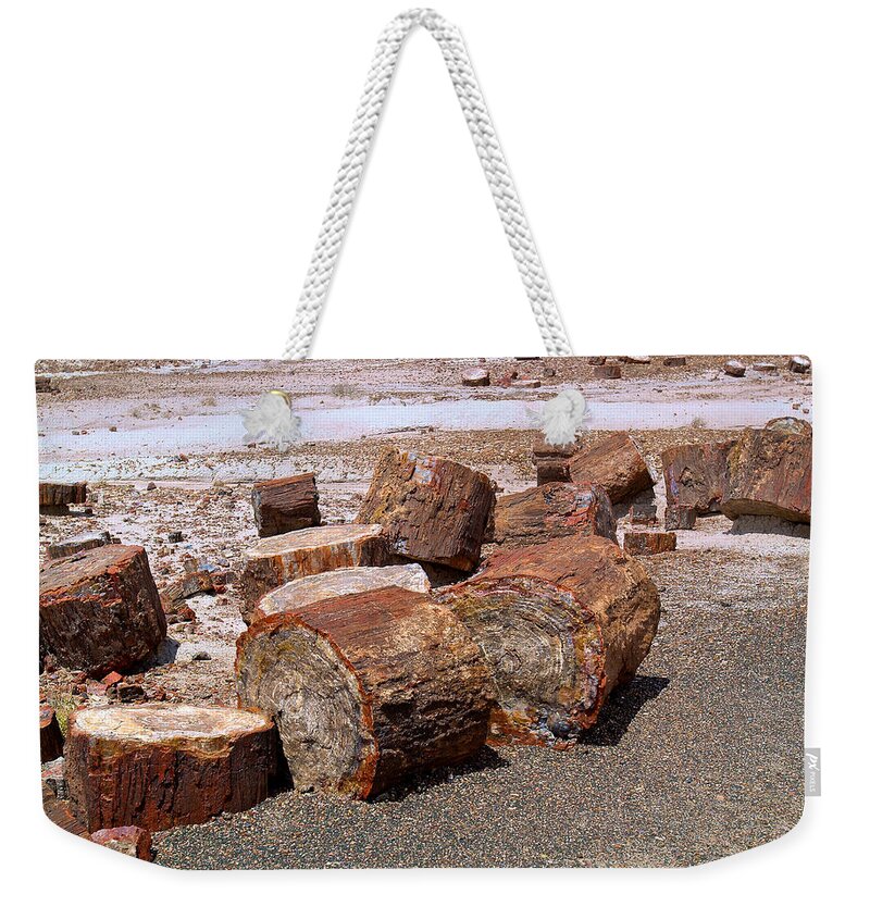 Petrified Weekender Tote Bag featuring the photograph Petrified Forest 4 by Richard J Cassato