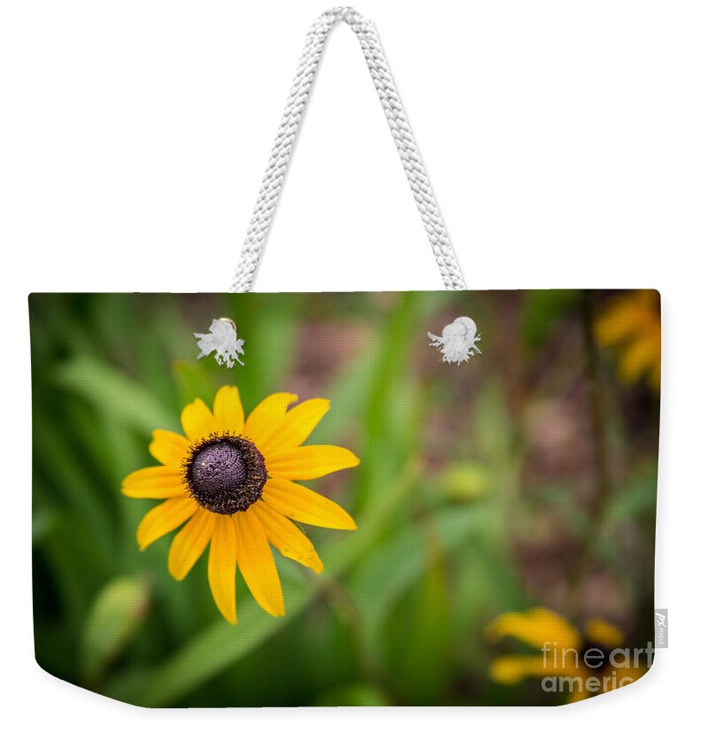 Flower Weekender Tote Bag featuring the photograph Pewaukee Sunflower by Andrew Slater