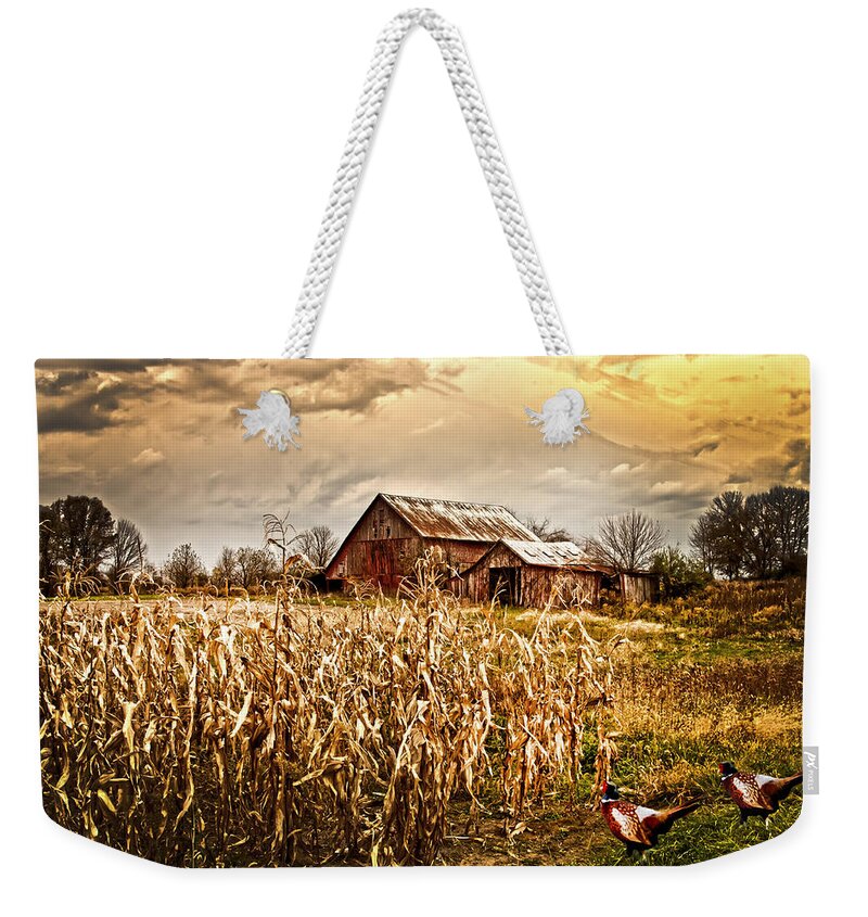 Pheasants Weekender Tote Bag featuring the photograph Pheasants Heading For Corn Patch by Randall Branham
