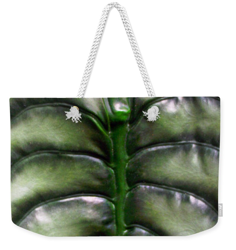 Plants Weekender Tote Bag featuring the photograph Philodendron Leaf by Duane McCullough