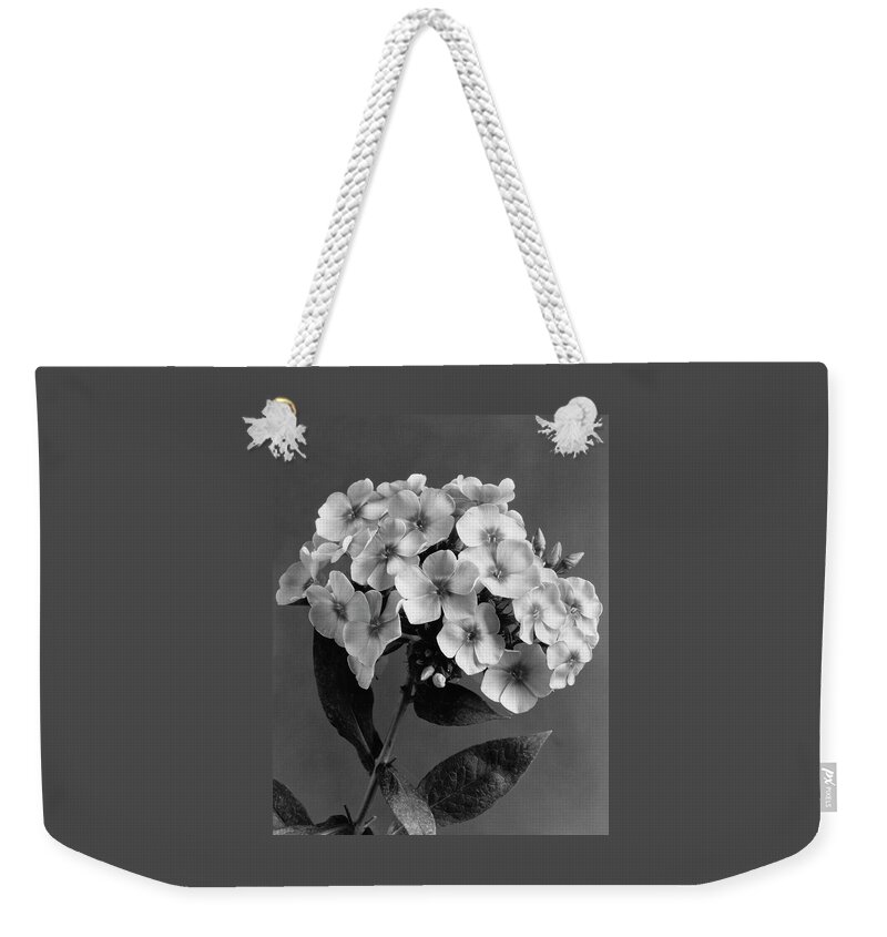 Phlox Blossoms Weekender Tote Bag