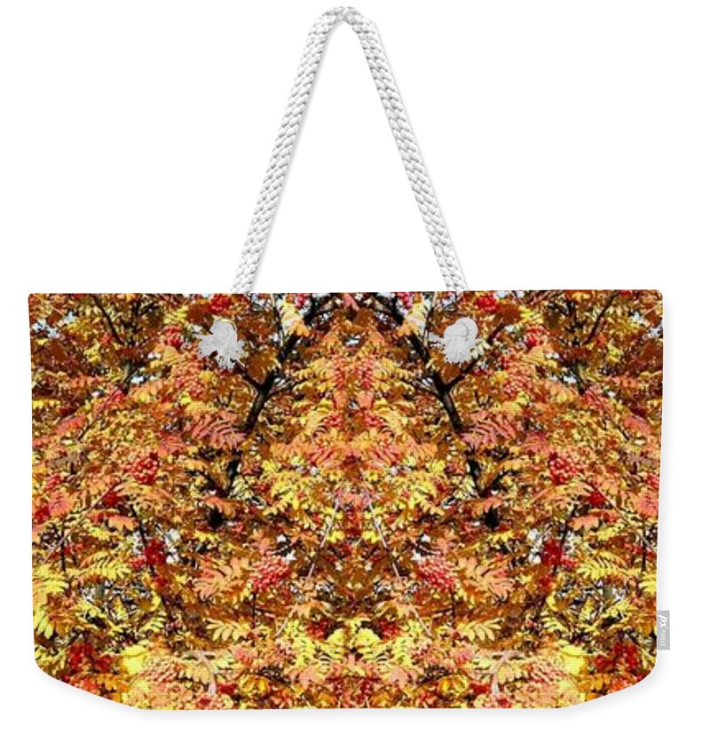 Photo Synthesis 6 Weekender Tote Bag featuring the digital art Photo Synthesis 6 by Will Borden