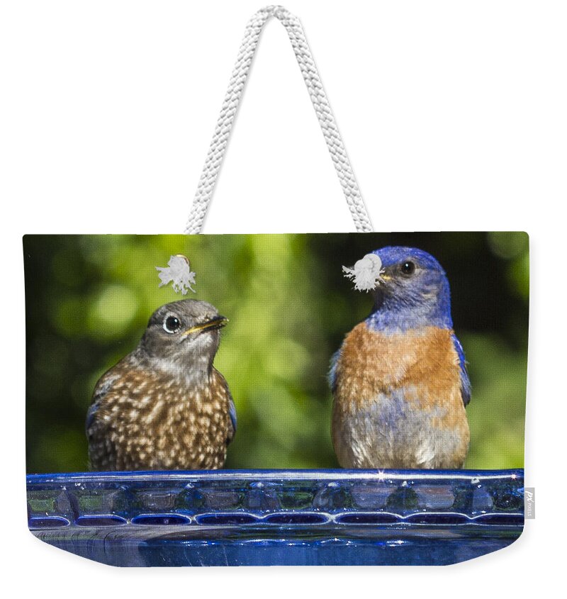  Weekender Tote Bag featuring the photograph Pie Charting by Jean Noren