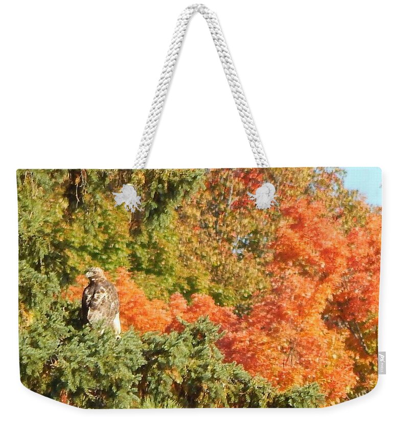Eagle Weekender Tote Bag featuring the photograph Piercing by Kimberly Woyak