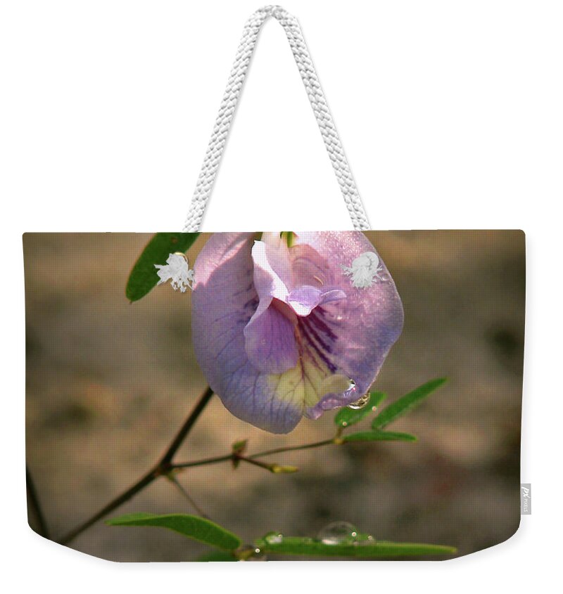 Nature Weekender Tote Bag featuring the photograph Pigeon-wing by Peggy Urban