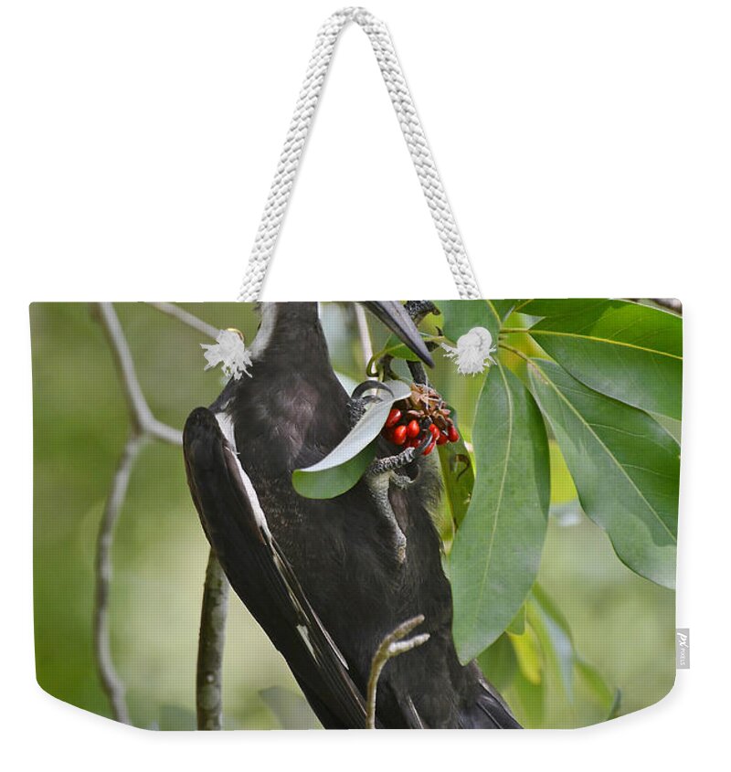 Woodpecker Weekender Tote Bag featuring the photograph Pileated Woodpecker by Kathy Baccari