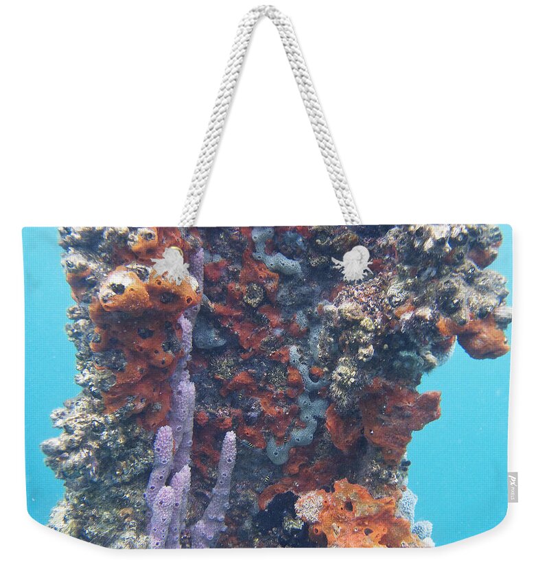 Bocas Del Toro Weekender Tote Bag featuring the photograph Pillar of Life by Lynne Browne
