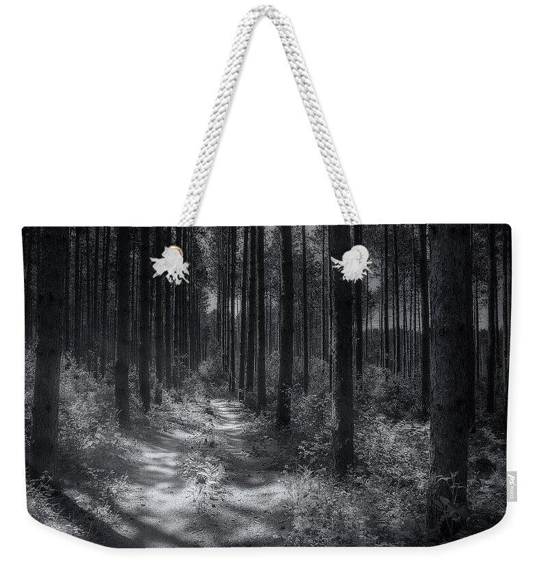 Trees Weekender Tote Bag featuring the photograph Pine Grove by Scott Norris