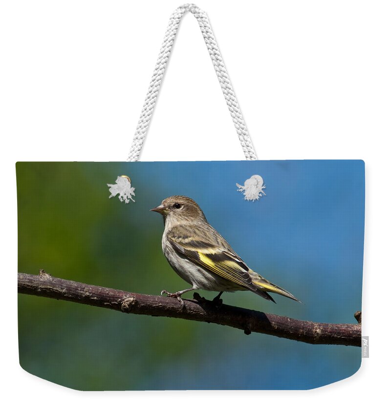 Animal Weekender Tote Bag featuring the photograph Pine Siskin Perched on a Branch by Jeff Goulden