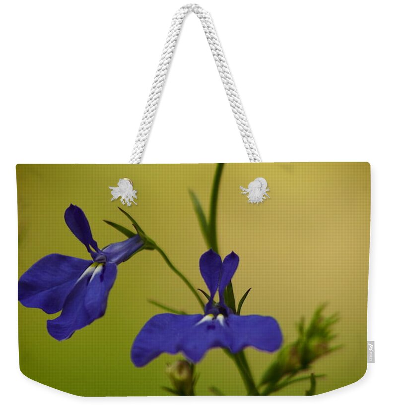 Flowers Weekender Tote Bag featuring the photograph Pinhole View Of Lobelia by Dorothy Lee