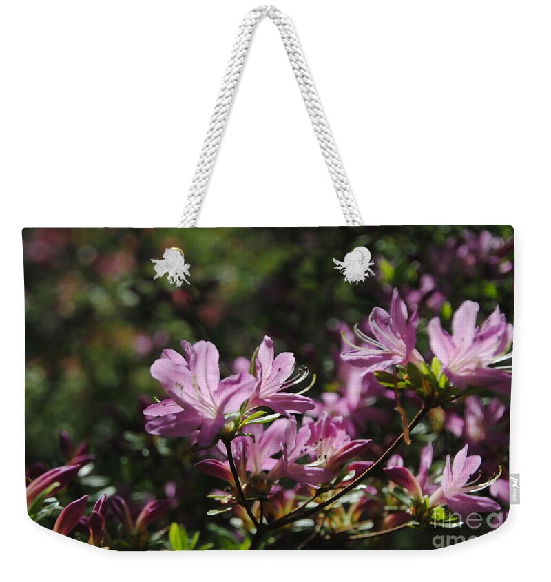 Winterthur Weekender Tote Bag featuring the photograph Pink Azaleas by Jacqueline M Lewis