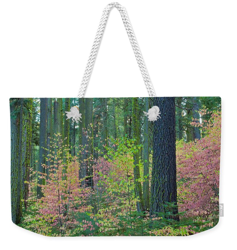 Landscape Weekender Tote Bag featuring the photograph Pink Dogwoods by Jonathan Nguyen