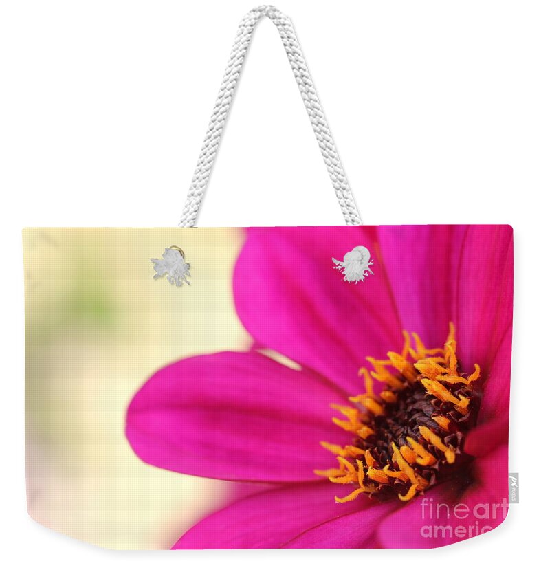Beautiful Weekender Tote Bag featuring the photograph Pink Flower by Amanda Mohler