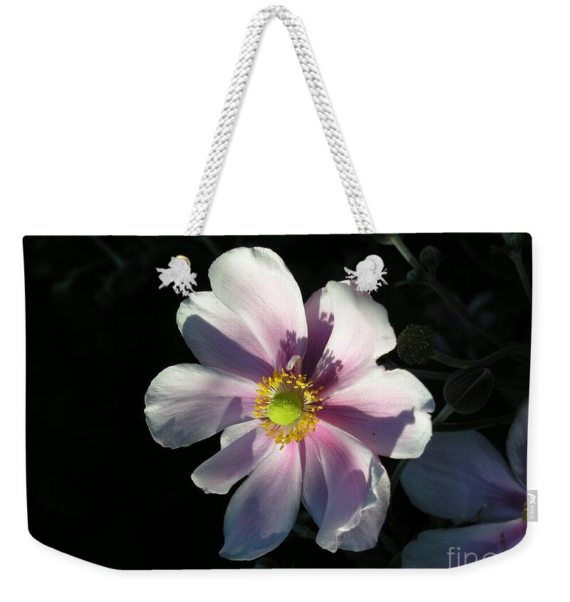 Pink Weekender Tote Bag featuring the photograph Pink Flower by Bev Conover