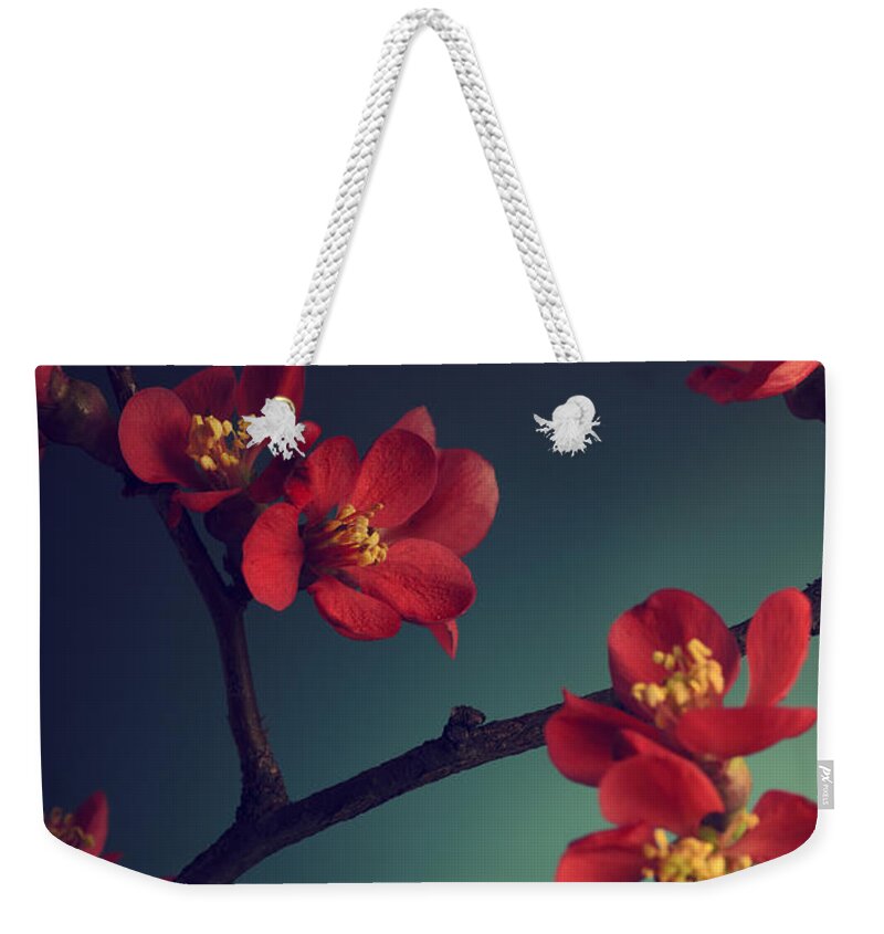 Flower Weekender Tote Bag featuring the photograph Pink Flower Blossom by Jelena Jovanovic