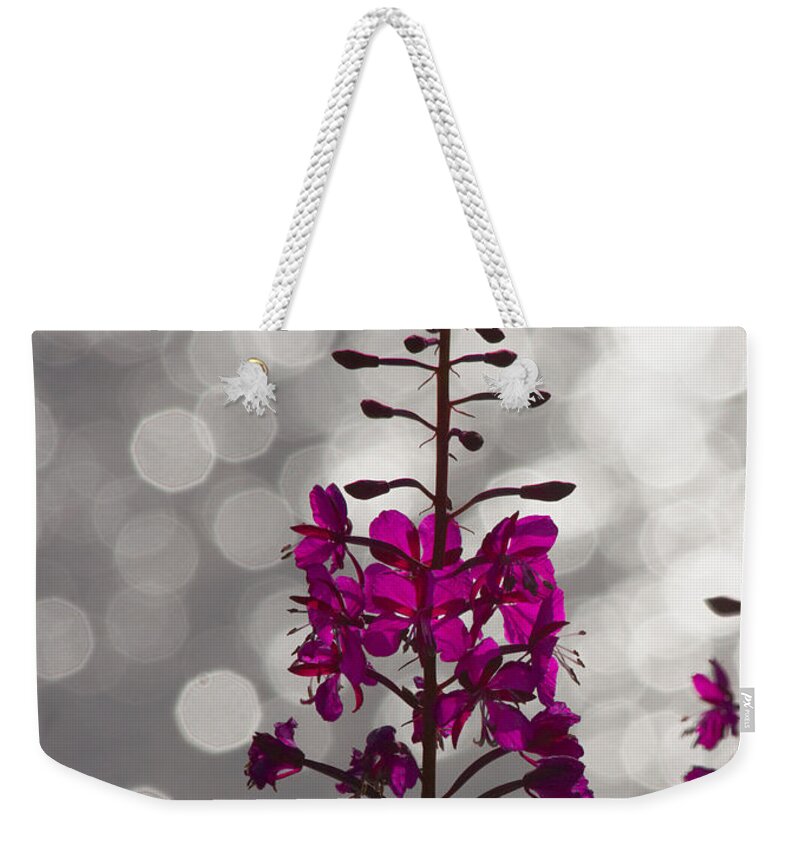 Fireweed Weekender Tote Bag featuring the photograph Pink by Heiko Koehrer-Wagner