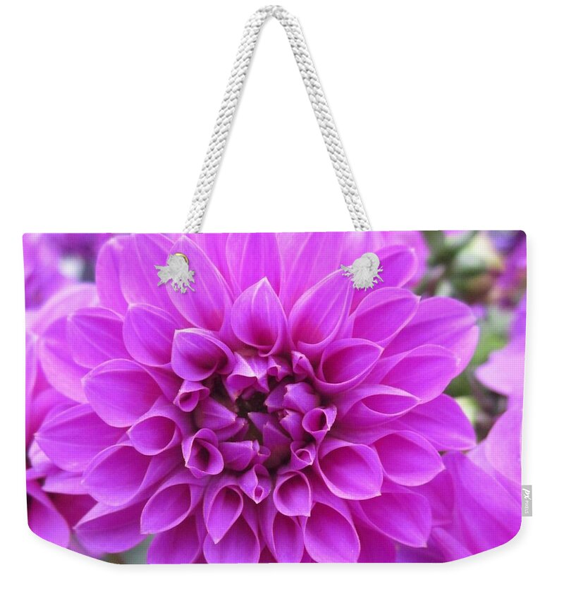 Dahlia Weekender Tote Bag featuring the photograph Pink Lady by Rosita Larsson