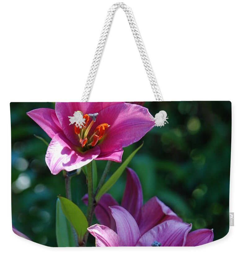 Lillies Weekender Tote Bag featuring the photograph Pink Lilies by Carol Eliassen