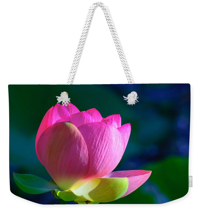 Water Lily Weekender Tote Bag featuring the photograph Pink lily by John Johnson