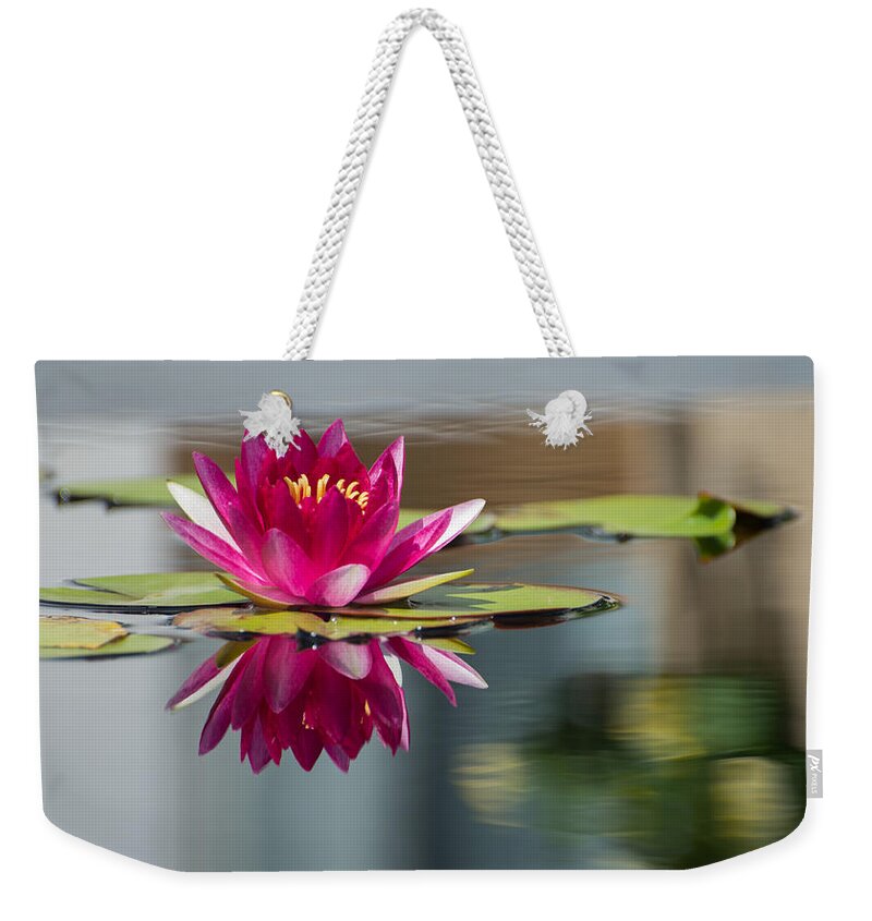 Waterlily Weekender Tote Bag featuring the photograph Pink Water Lily by Stacy Abbott