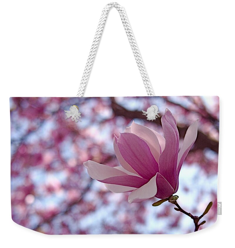 Magnolia Weekender Tote Bag featuring the photograph Pink Magnolia by Rona Black