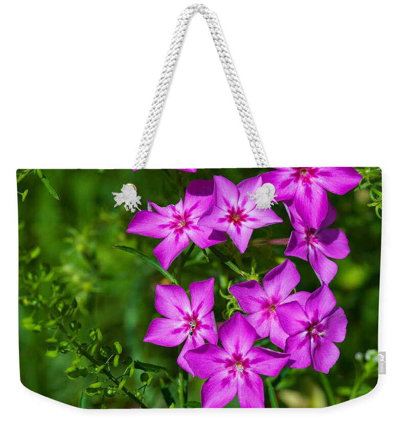 Beauty In Nature Weekender Tote Bag featuring the photograph Pink Phlox by Diane Macdonald