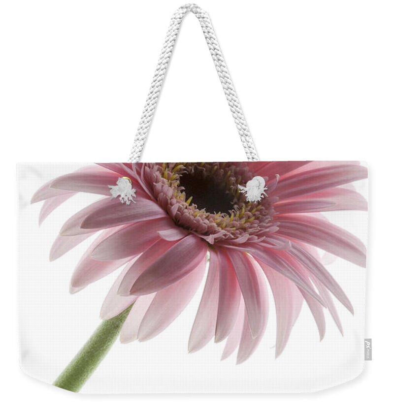 Pink Posey Weekender Tote Bag featuring the photograph Pink Posey by Patty Colabuono