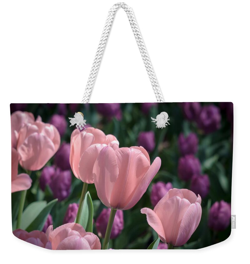 Tulip Weekender Tote Bag featuring the photograph Pink Tulips by James Barber