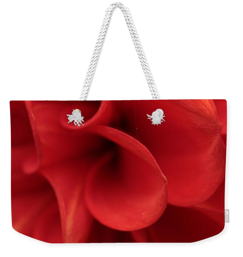 Connie Handscomb Weekender Tote Bag featuring the photograph Scarlet Pipes by Connie Handscomb