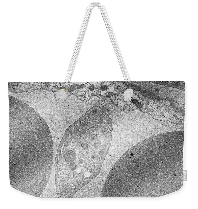 Science Weekender Tote Bag featuring the photograph Platelet And Red Blood Cells Tem by David M. Phillips