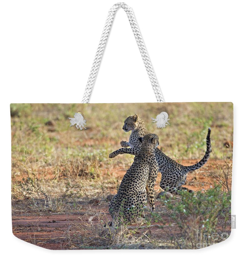 Festblues Weekender Tote Bag featuring the photograph PlayTime with Mom... by Nina Stavlund