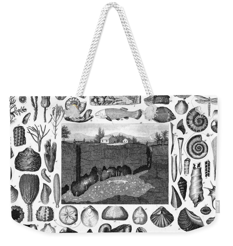 Prehistory Weekender Tote Bag featuring the photograph Pliocene Epoch, Marine Fossils by Science Source