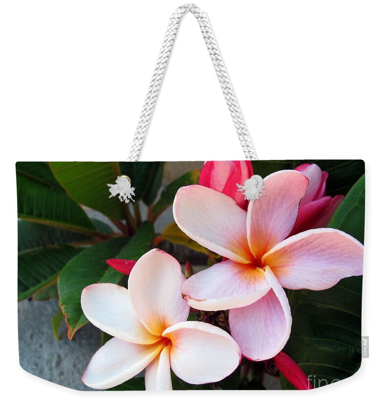 Flower Weekender Tote Bag featuring the photograph Plumeria by Kelly Holm