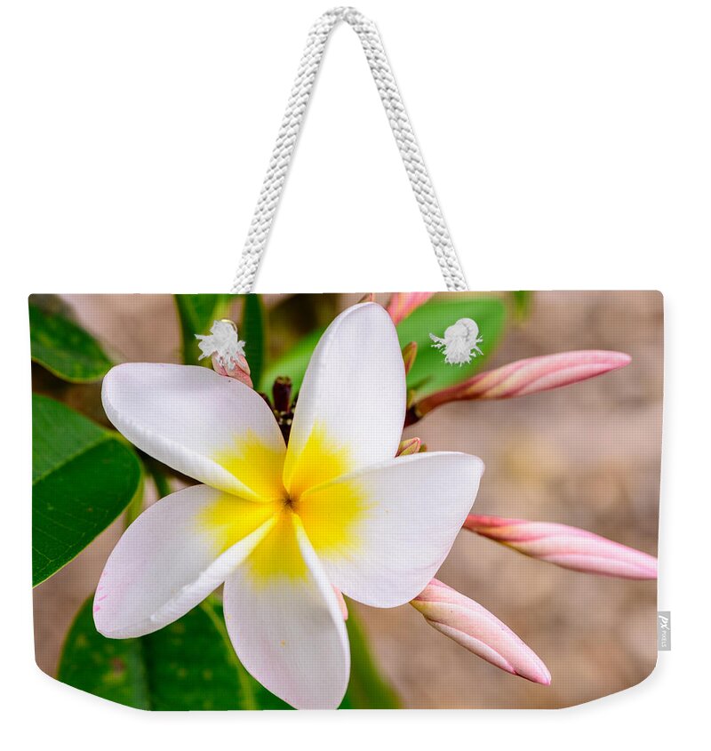 Flowers Weekender Tote Bag featuring the photograph Plumerias of Paradise 15 by Jason Chu
