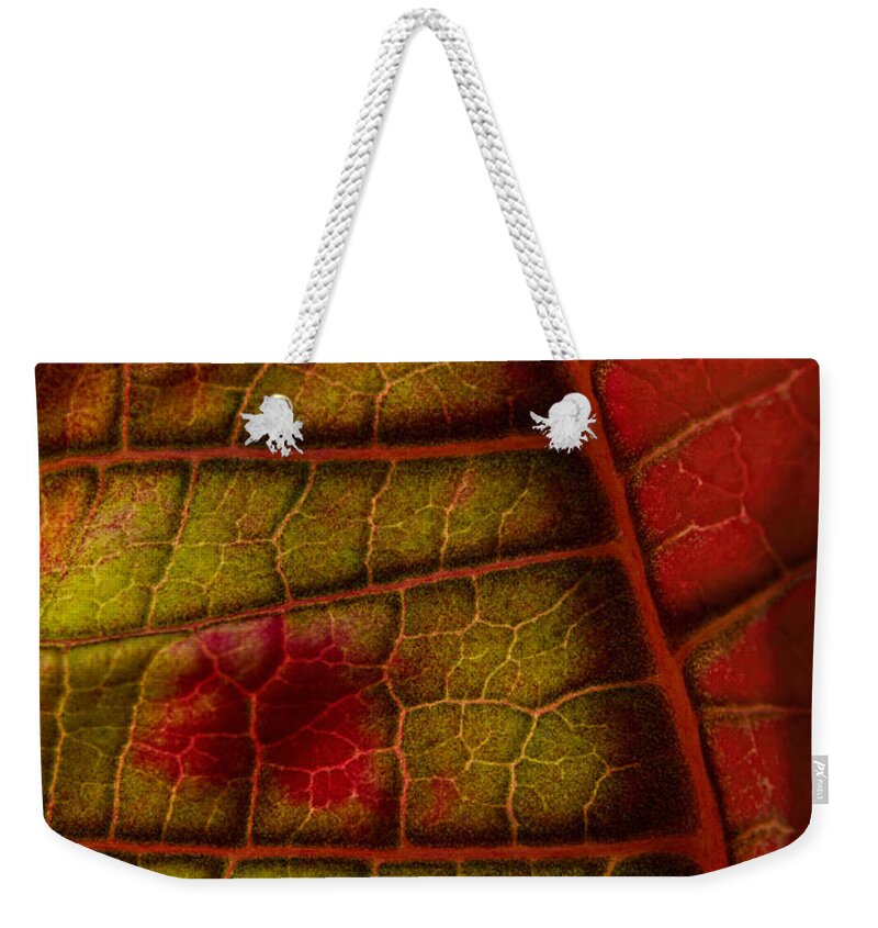 Poinsettia Abstract Weekender Tote Bag featuring the photograph Poinsettia Abstract by Ann Garrett