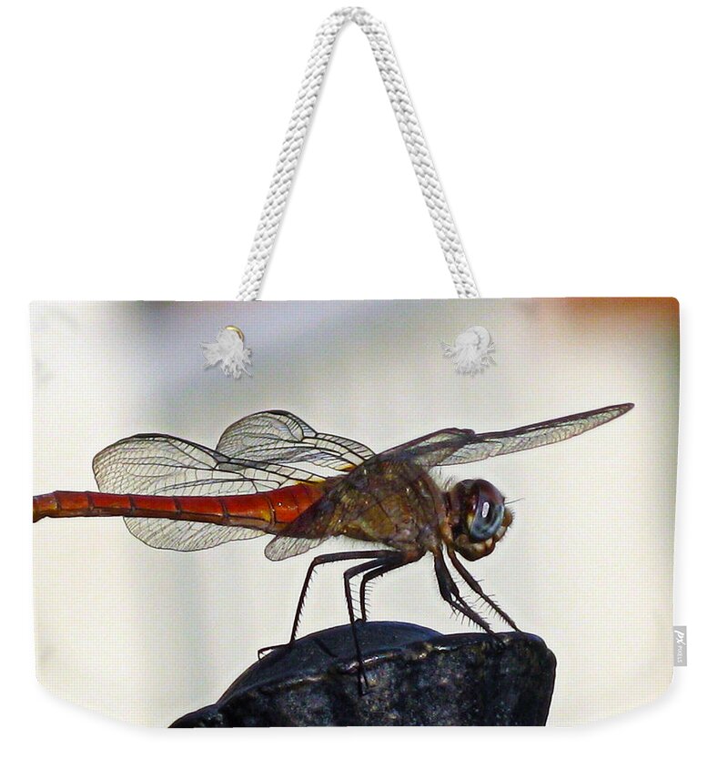 Dragonfly Weekender Tote Bag featuring the photograph Poised Flame Skimmer by Joe Schofield