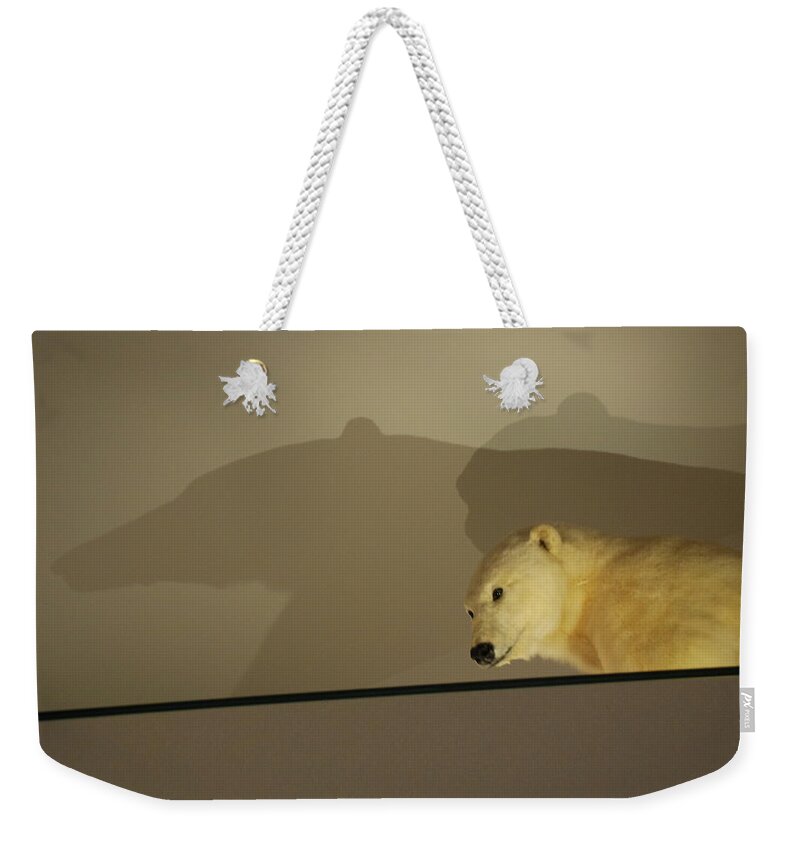 Natural History Weekender Tote Bag featuring the photograph Polar Bear Shadows by Kenny Glover