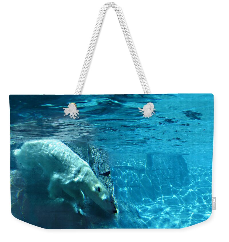 Wild Life Weekender Tote Bag featuring the photograph Polar Bear by Steve Karol