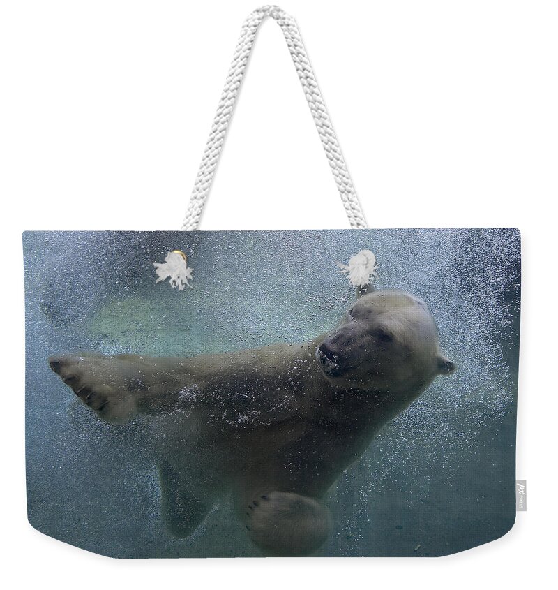 Feb0514 Weekender Tote Bag featuring the photograph Polar Bear Swimming Underwater by San Diego Zoo
