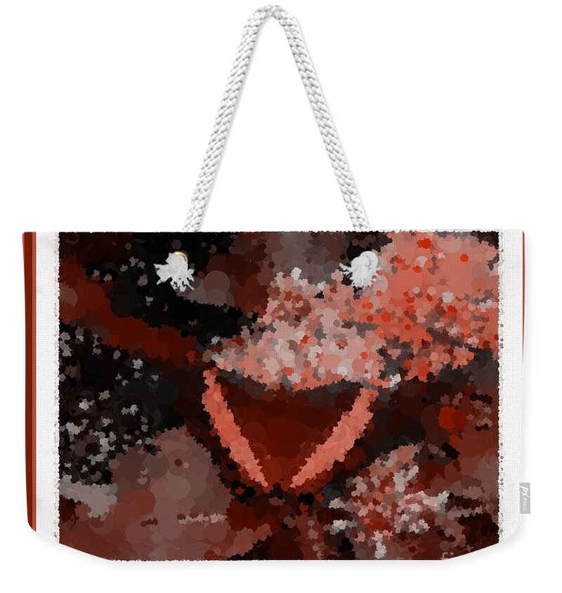 Polka Dot Butterfly Orange Weekender Tote Bag featuring the photograph Polka Dot Butterfly Orange by Barbara A Griffin