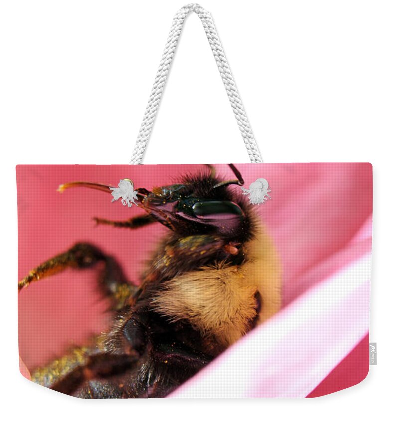 Insects Weekender Tote Bag featuring the photograph 'Pollen High' by Jennifer Robin