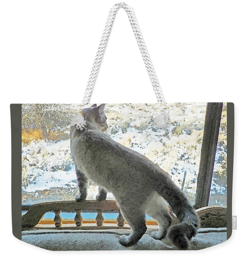 Expressive Weekender Tote Bag featuring the photograph Pawli Surveys his Domain by Lenore Senior