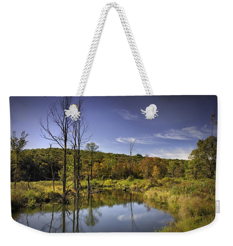 Pond Weekender Tote Bag featuring the photograph Pond in Autumn by Fran Gallogly