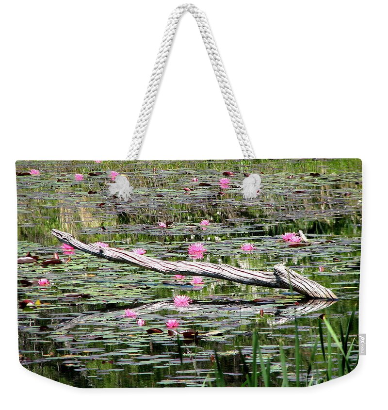 Water Lily Weekender Tote Bag featuring the photograph Pond of Pink Waterlilies by Rose Santuci-Sofranko