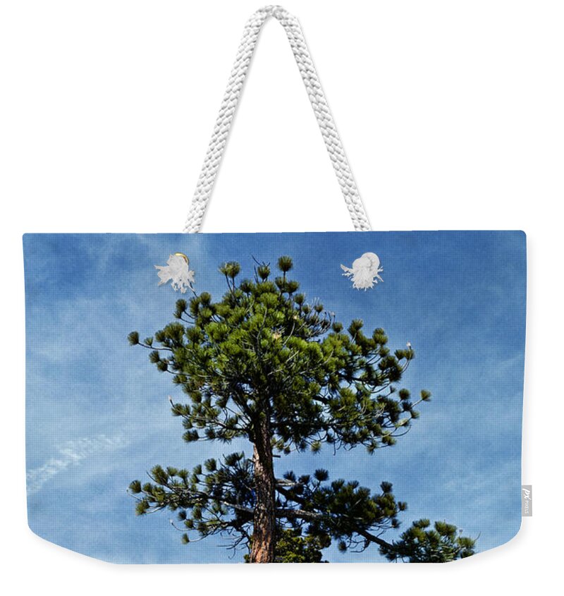 Beauty In Nature Weekender Tote Bag featuring the photograph Ponderosa Pine and Granite Boulders by Jeff Goulden