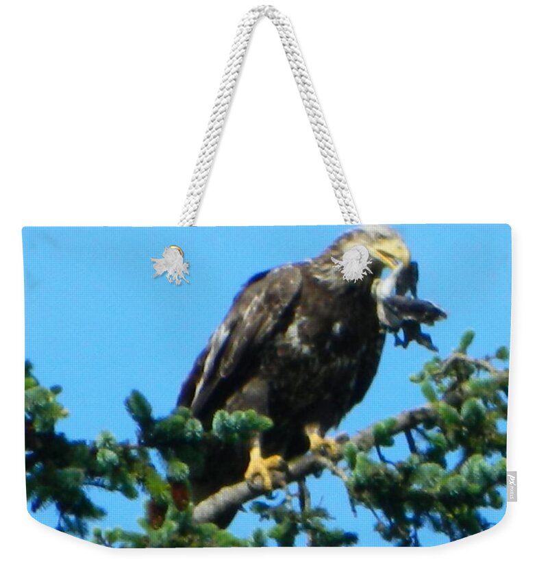 Oregon Weekender Tote Bag featuring the photograph Poor Bird 2 by Gallery Of Hope 